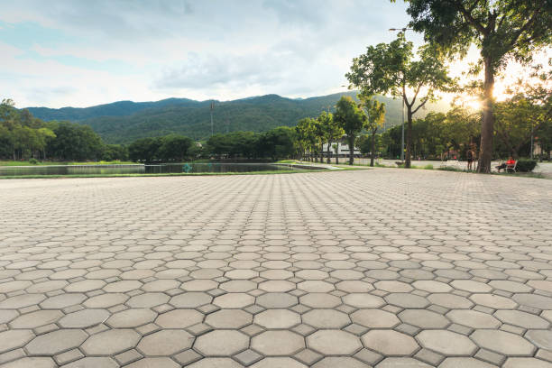 Best Local Driveway Pavers  in St Matthews, SC