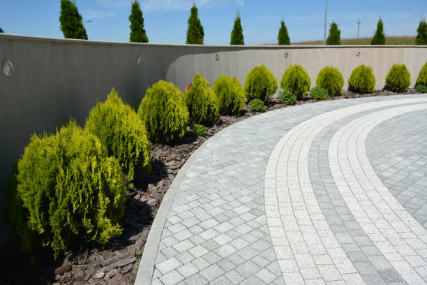 Best Commercial Driveway Pavers  in St Matthews, SC